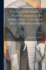 John James Audubon - The Quadrupeds Of North America By John James Audubon And John Bachman; Volume 3