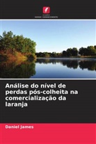 Daniel James - Análise do nível de perdas pós-colheita na comercialização da laranja