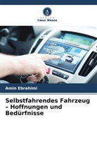 Amin Ebrahimi - Selbstfahrendes Fahrzeug - Hoffnungen und Bedürfnisse