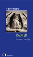 Ion Postolache - Raureif