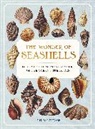 Melissa Hobson - The Wonder of Seashells