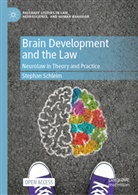 Stephan Schleim - Brain Development and the Law