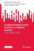 Marcelo F Aebi, Marcelo F. Aebi, Caneppele, Stefano Caneppele, Fernando Miró-Llinares, Marcelo F. Aebi... - Understanding Crime Trends in a Hybrid Society