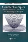 Andrei Bourchtein, Ludmila Bourchtein, Bourchtein Andrei, Bourchtein Ludmila - CounterExamples