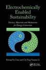 Kwong-Yu Chan, Chan Kwong-Yu, Chi-Ying Vanessa Li, Li Chi-Ying Vanessa - Electrochemically Enabled Sustainability