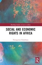 Nsongurua Udombana - Social and Economic Rights in Africa