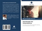 Moussa Hamadou Ousseini - Auswirkungen der Sicherheitskrise