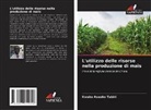 Kwaku Asuako Tabiri - L'utilizzo delle risorse nella produzione di mais