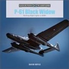 David Doyle - P-61 Black Widow
