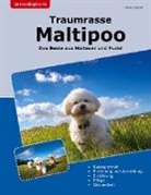Heike Lammer - Traumrasse Maltipoo
