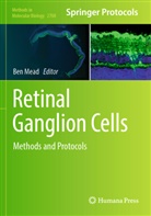 Ben Mead - Retinal Ganglion Cells