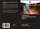 Alexander Soshko, Victor Soshko - Traitement thermomécanique des métaux