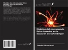 Valentin Mdzinarishvili - Modelos del micromundo físico basados en la ecuación de Schrödinger