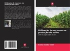 Kwaku Asuako Tabiri - Utilização de recursos na produção de milho