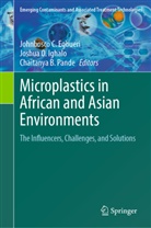 Johnbosco C. Egbueri, Joshua O. Ighalo, Chaitanya B. Pande - Microplastics in African and Asian Environments