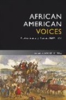 Steven Mintz, Steven (University of Houston Mintz, Steven Mintz - African American Voices