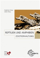 Andreas Bernhard, Wolf-Eberhard Engelmann, Klaus Eulenberger, Wolf- Grosse, Wolf-Rüdiger Große, Andreas S. Hennig... - Zootierhaltung: Reptilien und Amphibien