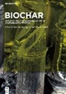 P Shah, Maulin P. Shah, Riti Thapar Kapoor - BioChar