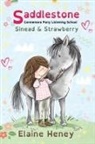 Elaine Heney - Saddlestone Connemara Pony Listening School | Sinead and Strawberry - Dyslexia Friendly