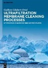 Guillem Gilabert-Oriol - Ultrafiltration Membrane Cleaning Processes