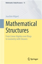 Joachim Hilgert - Mathematical Structures