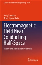 Yuriy Vasetsky, Artur Zaporozhets - Electromagnetic Field Near Conducting Half-Space