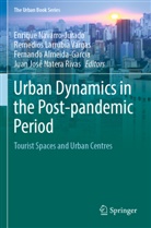 Fernando Almeida-García, Fe Almeida-García et al, Remedios Larrubia Vargas, Juan José Natera Rivas, Enrique Navarro-Jurado - Urban Dynamics in the Post-pandemic Period