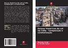 S. Vinodh Kumar, Manager Singh - Gessos históricos de cal na Índia - Composição e caraterização