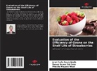 Renan Bruno Dal Cero, Jean Carlo Rauschkolb, Priscila Mayara Wust - Evaluation of the Efficiency of Ozone on the Shelf Life of Strawberries