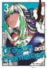 Ryo Ishiyama - Dragon and Chameleon 03