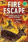 Michael Garland, Jessica Stremer - Fire Escape