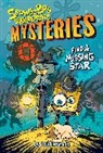David Lewman, Lewman David, Nickelodeon, Francavilla Francesco - Find a Missing Star (SpongeBob SquarePants Mysteries #1)