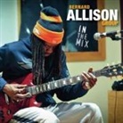 Bernhard Allison - In The Mix, 1 Audio-CD (Hörbuch)