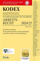 Werner Doralt - KODEX Studienausgabe Arbeitsrecht Salzburg 2024/25