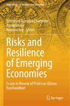 Tanmoyee Banerjee Chatterjee, Arpita Ghose, Poulomi Roy - Risks and Resilience of Emerging Economies