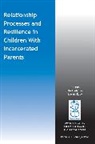 J M Eddy, Julie Poehlmann, Julie Eddy Poehlmann, Patricia J Bauer, J M Eddy, J. M. Eddy... - Relationship Processes and Resilience in Children With Incarcerated