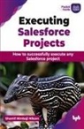 Shamli Nimbaji Nikam - Executing Salesforce Projects