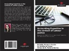 Arthur do N. Ferreira Barros, Danielly Marques Frazão, Ivi Batista de Souza - Accounting Expertise in the context of Labour Justice