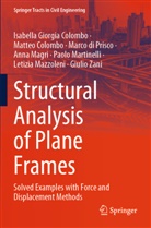 Isabella Giorgia Colombo, Matteo Colombo, di Prisc, Marco di Prisco, Anna Magri, Paolo Martinelli... - Structural Analysis of Plane Frames