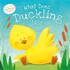 Igloo Books, Igloo Books Ltd - What Does Duckling Like?