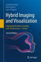 Joseph Awange, Béla Paláncz, Lajos Völgyesi - Hybrid Imaging and Visualization