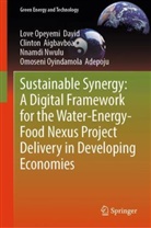 Omoseni Oyindamola Adepoju, Clinton Aigbavboa, Love Opeyemi David, Nnam Nwulu, Nnamdi Nwulu - Sustainable Synergy: A Digital Framework for the Water-Energy-Food Nexus Project Delivery in Developing Economies