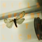 Niels Frevert - Putzlicht, 1 Audio-CD (Livre audio)