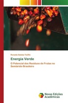 Ronaldo Batista Teófilo - Energia Verde
