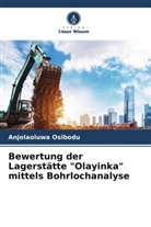 Anjolaoluwa Osibodu - Bewertung der Lagerstätte "Olayinka" mittels Bohrlochanalyse