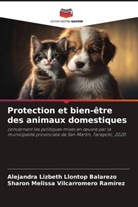 Alejandra Lizbeth Llontop Balarezo, Sharon Melissa Vilcarromero Ramírez - Protection et bien-être des animaux domestiques