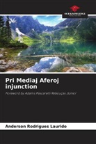 Anderson Rodrigues Laurido - Pri Mediaj Aferoj injunction