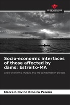 Marcelo Divino Ribeiro Pereira - Socio-economic interfaces of those affected by dams: Estreito-MA