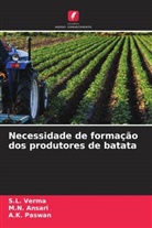M. N. Ansari, A. K. Paswan, A.K. Paswan, S. L. Verma, S.L. Verma - Necessidade de formação dos produtores de batata
