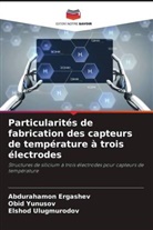 Abdurahamon Ergashev, Elshod Ulugmurodov, Obid Yunusov - Particularités de fabrication des capteurs de température à trois électrodes
